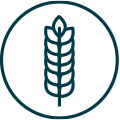 industrie agroalimentaire